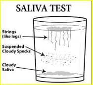 Saliva test explained